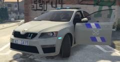 Grand Theft Auto V 1_11_2020 10_11_04 μμ (2).png