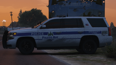 Grand Theft Auto V Screenshot 2020.11.01 - 03.56.27.21.png