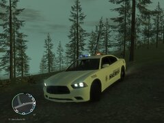 Liberty County Sheriff's Office Charger