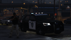 Traffic Stop