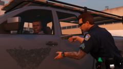 Takedown of Tarmac Intruder