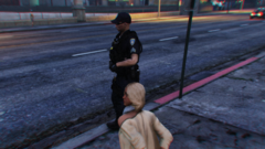 Traffic Stop