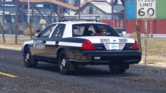 Grand_Theft_Auto_V_11_5_2020_5_09_32_PM.png