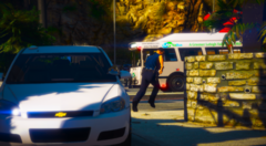 Responding to a Fight 2