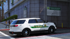 Patrolling Central LS Medical Center