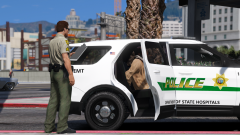 Detaining of a Vagrant