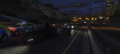 Freeway chaos