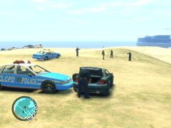 Beach side arrest.