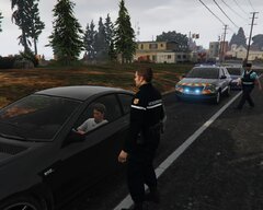 French Gendarmes in a traffic stop