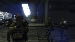 German GSG-9 arresting a suspect