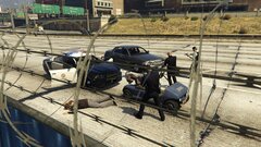 LAPD Takedown.