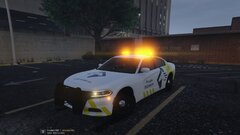 Paladin Security Upgrade