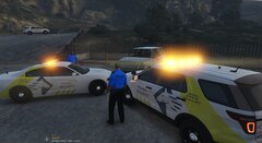 Paladin Investigations