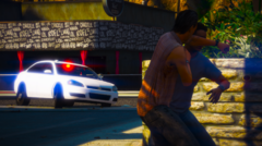 Responding to a Fight