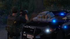 Massive Drugs & Arms Seizure