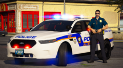 Car 102: FPIS (Outdated)