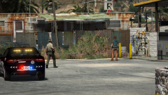 Grand Theft Auto V Screenshot 2021.01.06 - 21.45.58.63.png