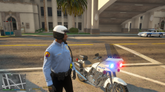 Grand Theft Auto V 01_09_2021 4_35_33 PM.png