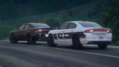 Grand Theft Auto V Screenshot 2021.01.11 - 20.25.19.02.png