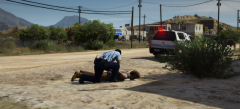 Newcastle 45 one in custody