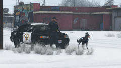 Grand Theft Auto V Screenshot 2021.01.07 - 20.55.10.34.png