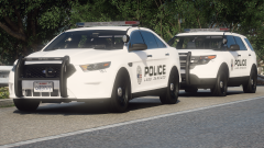 Grand Theft Auto V Screenshot 2021.01.08 - 11.13.47.80.png