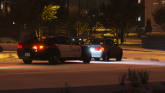 Grand Theft Auto V Screenshot 2021.01.08 - 05.59.54.93.png