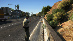 Grand Theft Auto V Screenshot 2021.01.08 - 05.40.07.55.png