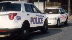 Grand Theft Auto V Screenshot 2021.01.08 - 10.56.17.50.png