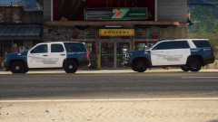 Grand Theft Auto V Screenshot 2021.01.08 - 10.58.41.63.png