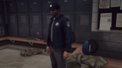 Grand Theft Auto V Screenshot 2021.01.08 - 11.35.06.44.png