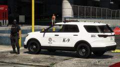 Grand Theft Auto V Screenshot 2021.01.08 - 23.35.12.06.png