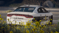 Grand Theft Auto V Screenshot 2021.01.11 - 09.45.03.48.png