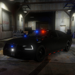 My new patrol car