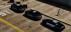 lspd_fleet4.png