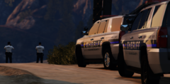New BCSO Cars