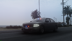 Grand Theft Auto V Screenshot 2021.03.22 - 09.25.11.28.png