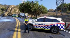 TR201 blocking road for a traffic crash on Sustancia RD