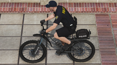 Police Bicycle