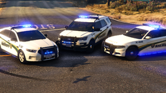 Grand Theft Auto V Screenshot 2021.04.17 - 21.07.23.51.png