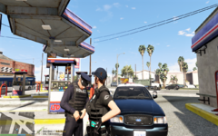 Grand Theft Auto V 29_04_2021 09_17_35.png