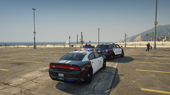 aiding del perro.png