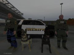K-9