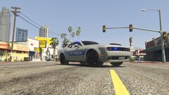 Polish Grupa speed responding