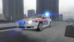 Dutch police responding