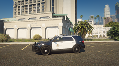 chilling in the sun.png