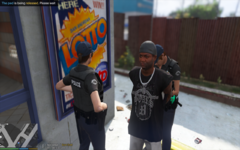 Grand Theft Auto V 29_04_2021 09_16_17.png