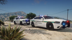 Two Lake County Sheriff's Office Cruisers