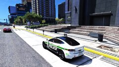 TESLA POLICE