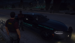 Drug Task Force Charger